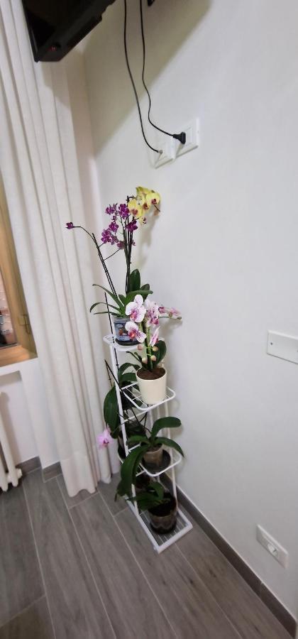 Orchidea Bed & Breakfast Bolonya Dış mekan fotoğraf